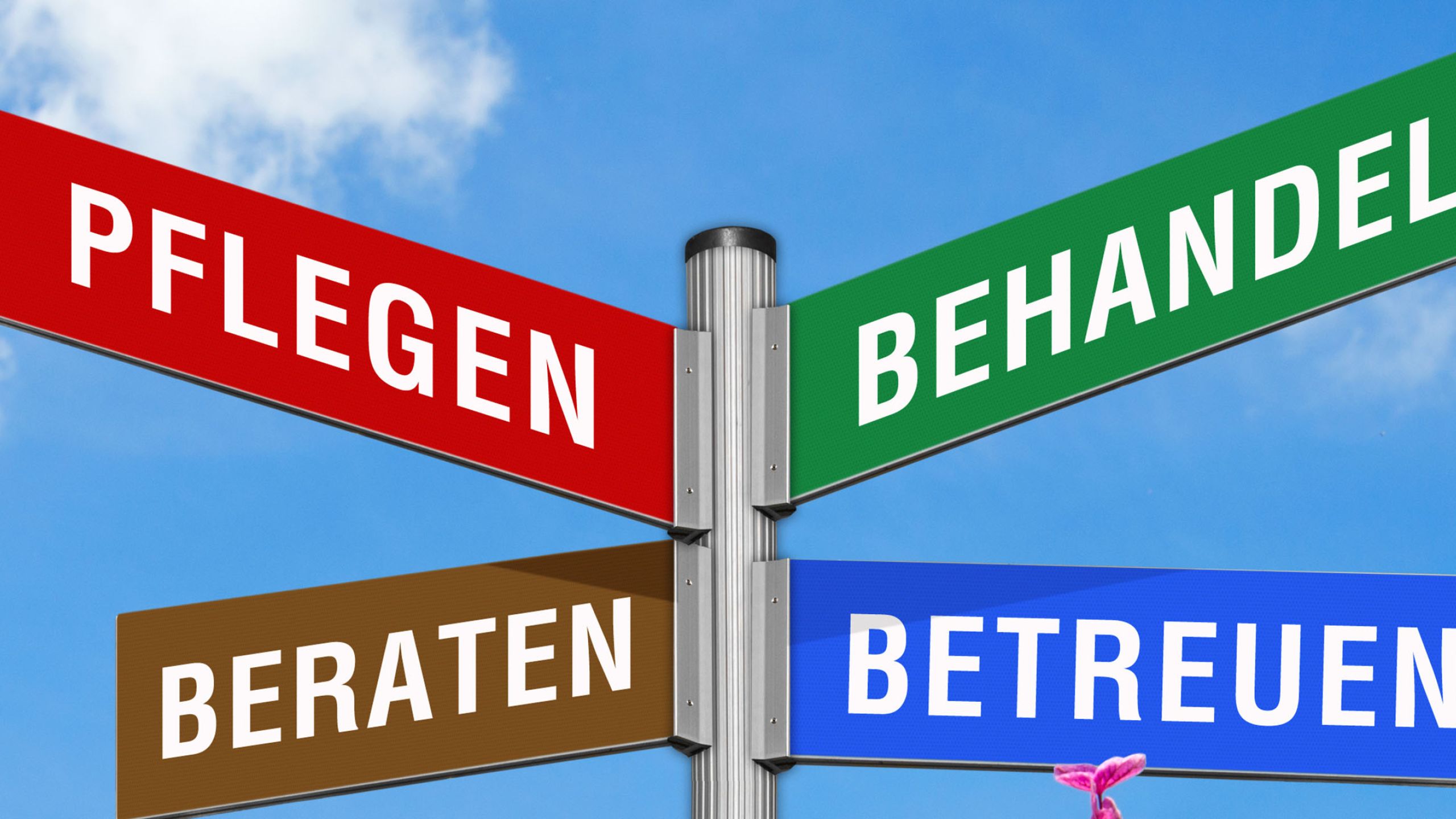 Ein Wegweiser mit dem Aufschriften Pflegen, Behandeln, Beraten und Betreuen.